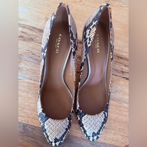 Coach Snake-Print Ballet Heels in Tan, Orange and Black